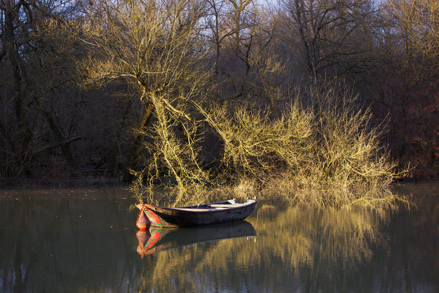 Old Boat in the "Bellenkrappen" An old boat is attached to a buoy in the old side-arm of the river Rhine named "Bellenkrappen" near Mannheim